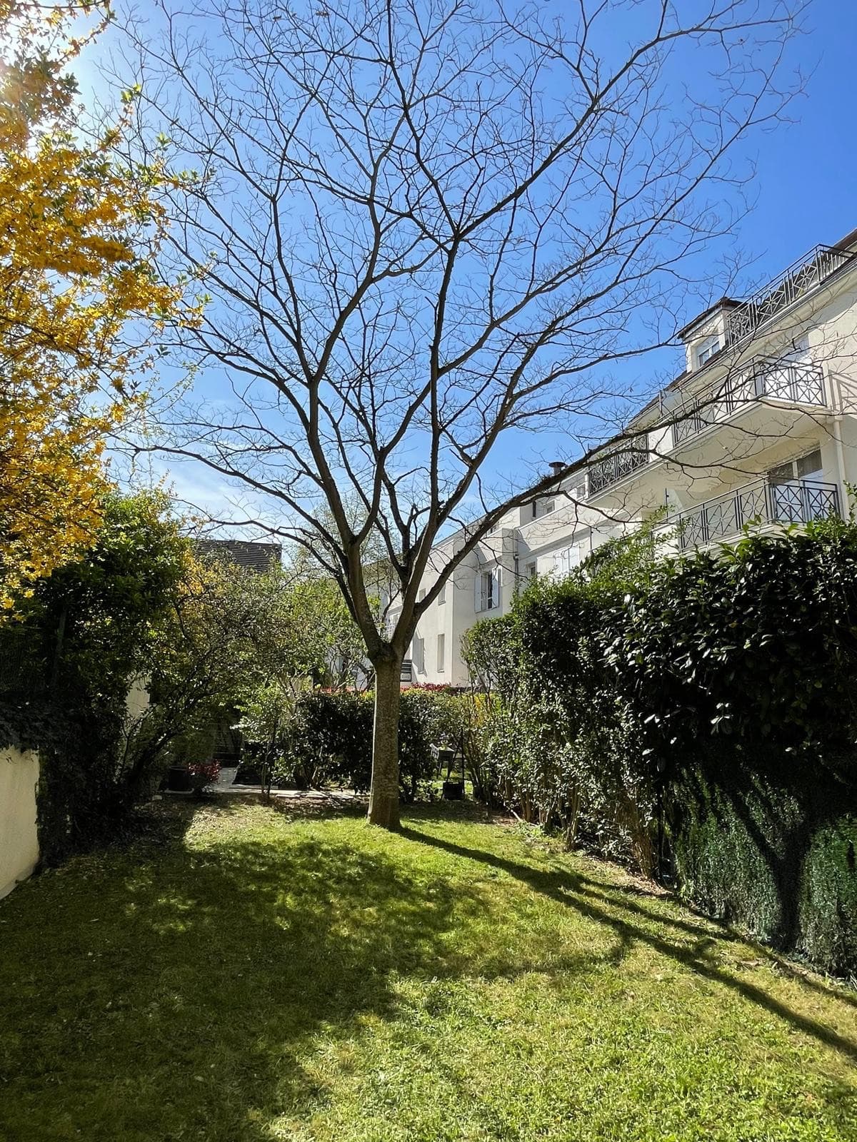 Appartement T3 loué — Noisy-le-Grand